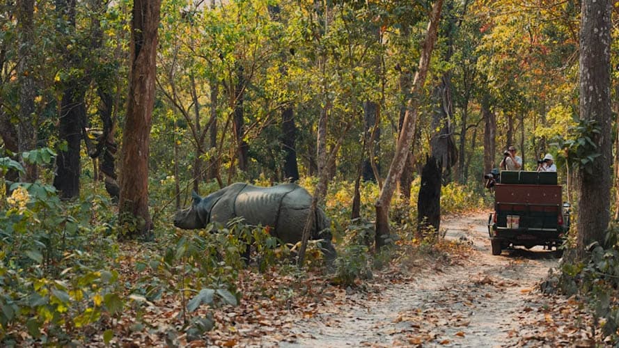 India Tour Northc East